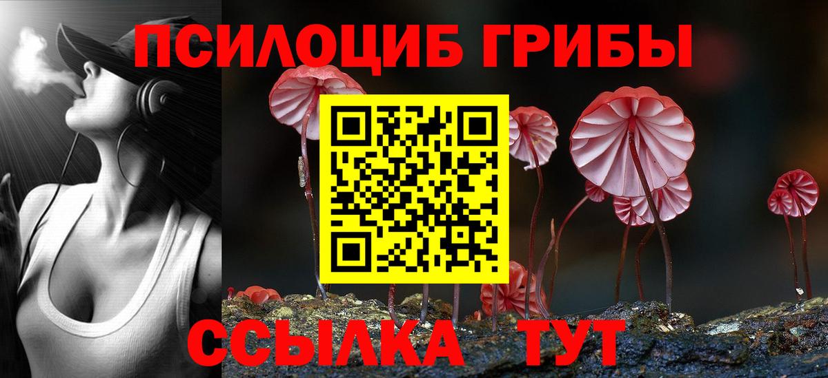 Новочебоксарск  Псилоцибиновые грибы ЛСД  Вход с VPN 
